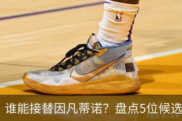 谁能接替因凡蒂诺？盘点5位候选人：温格与亚足联主席在列